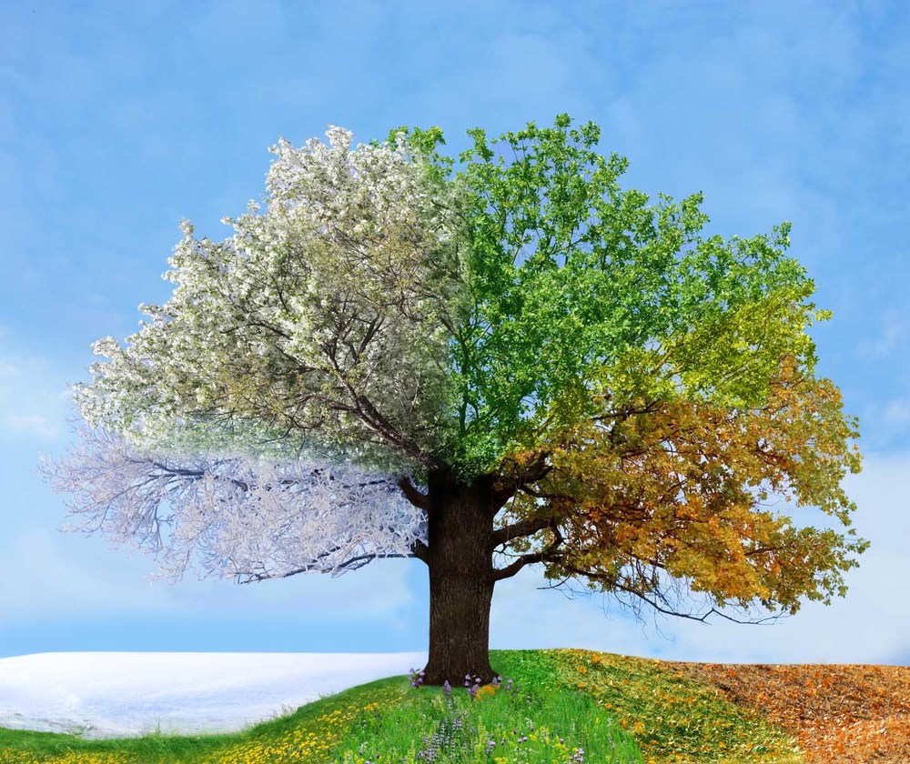 The Change Of Season On Changing Seasons (and Not the Ones that Trigger Allergies) - Dr